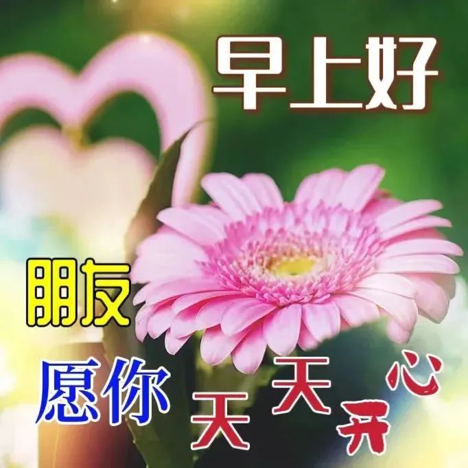 早上好，美好的一天，不忘牵挂和问候